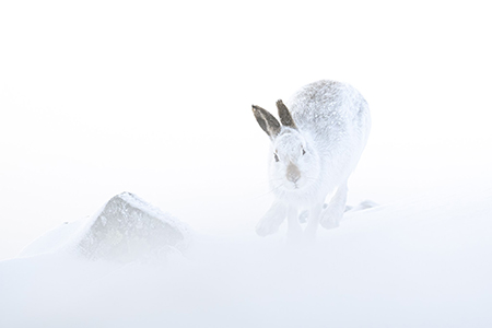 Activities on the Glenmuick Estate