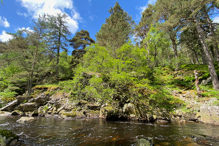 Activities on the Glenmuick Estate