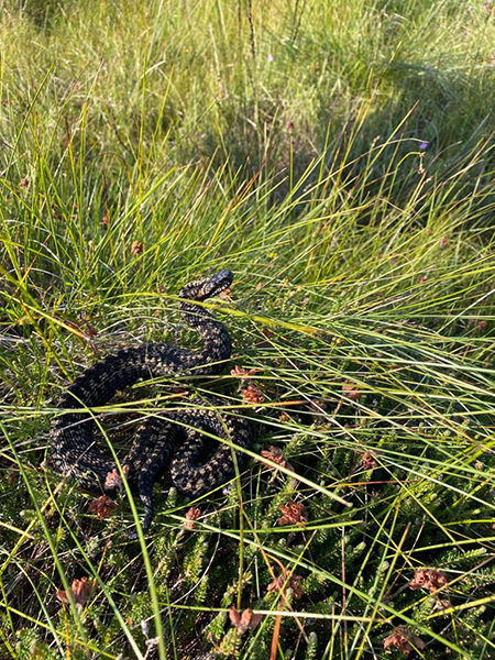 Activities on the Glenmuick Estate