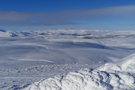 Activities on the Glenmuick Estate