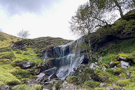 Activities on the Glenmuick Estate