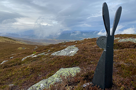 Activities on the Glenmuick Estate