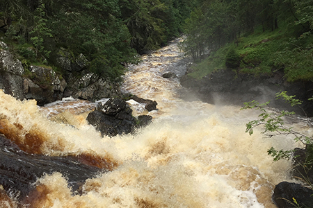 Activities on the Glenmuick Estate