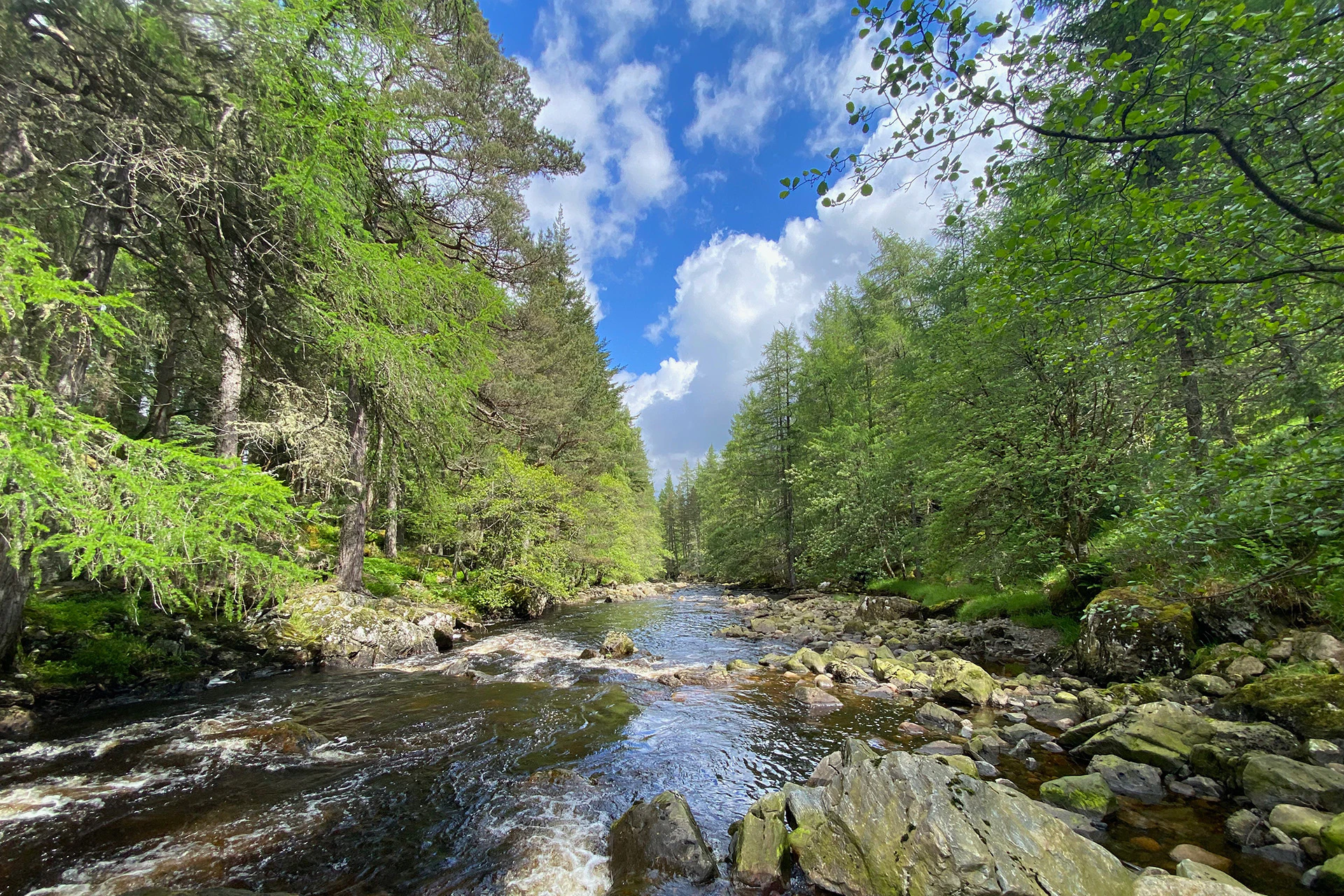 Asian Wedding Marquee In Derbyshire