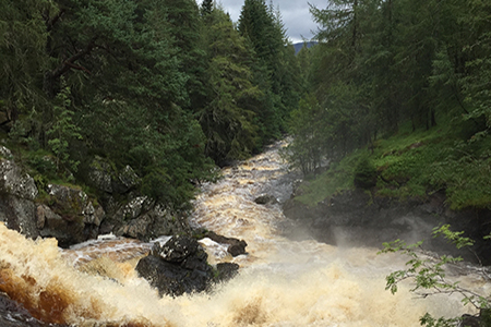 Glenmuick Estate Conservation