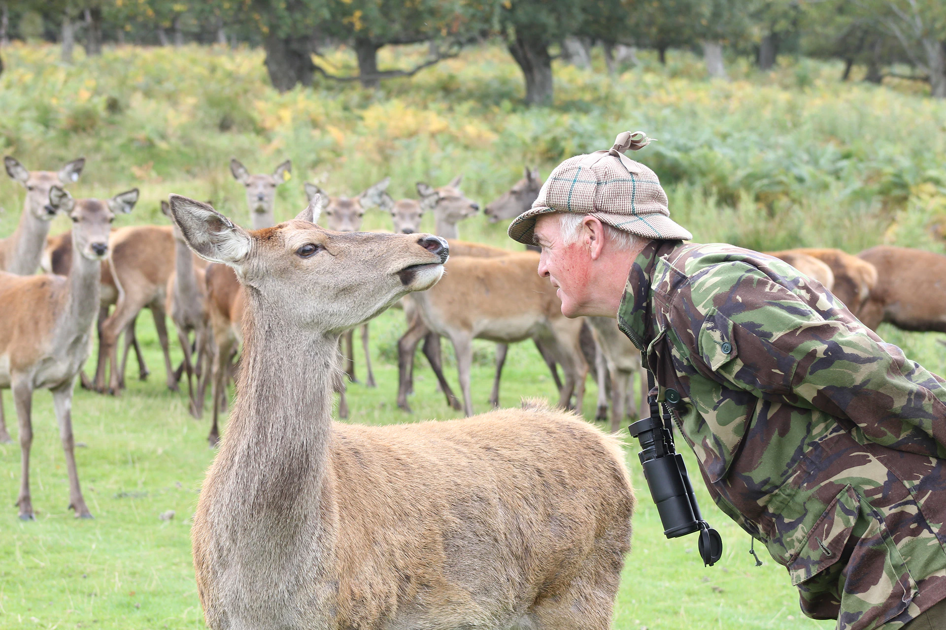 Whats On At Glenmuick Estate