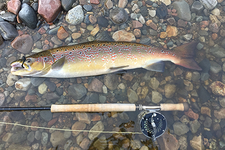 Fishing at Glenmuick Estate