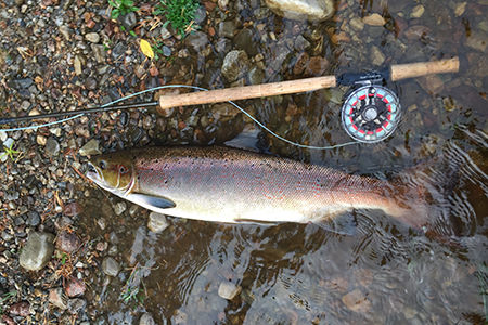 Fishing at Glenmuick Estate