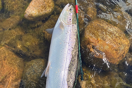 Fishing at Glenmuick Estate