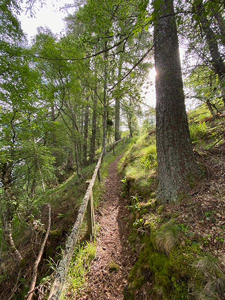 Fishing at Glenmuick Estate