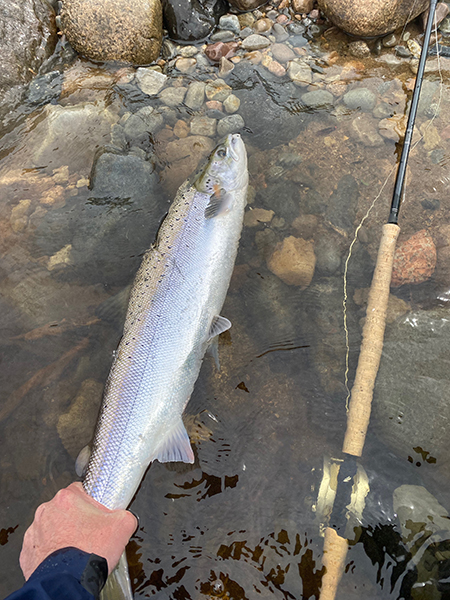Fishing at Glenmuick Estate