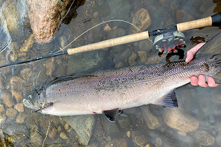 Fishing at Glenmuick Estate