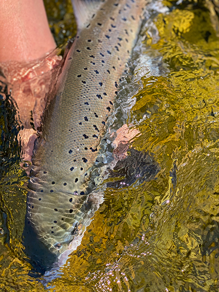 Fishing at Glenmuick Estate