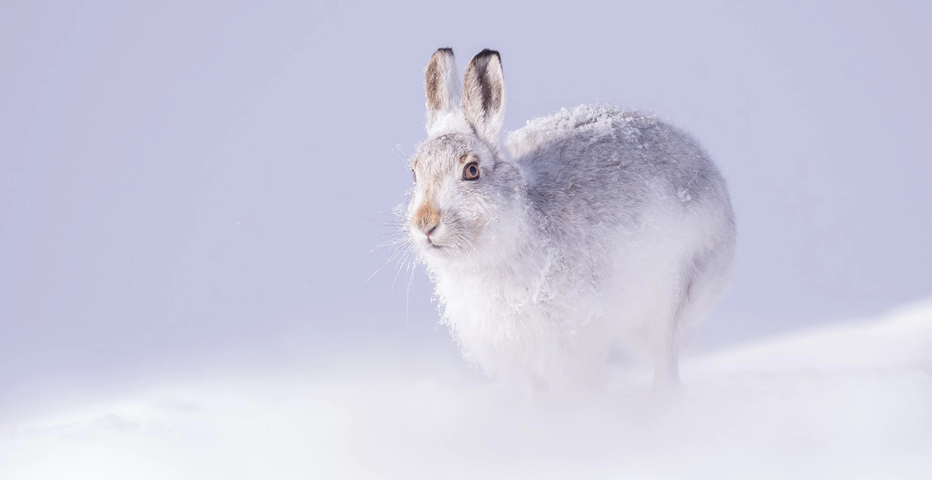 Whats On At Glenmuick Estate