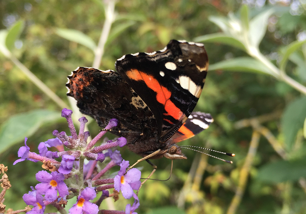 wedding venue near me