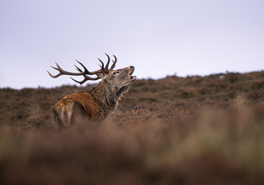 derbyshire corporate event venue