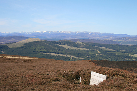 Shooting at Glenmuick Estate