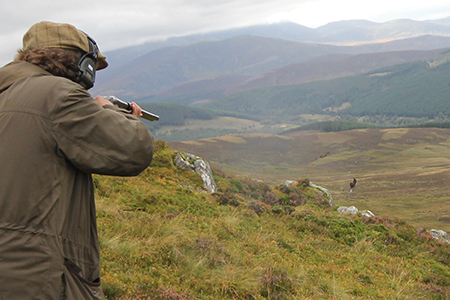 Shooting at Glenmuick Estate