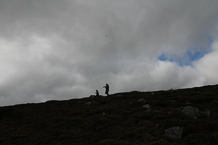 Shooting at Glenmuick Estate