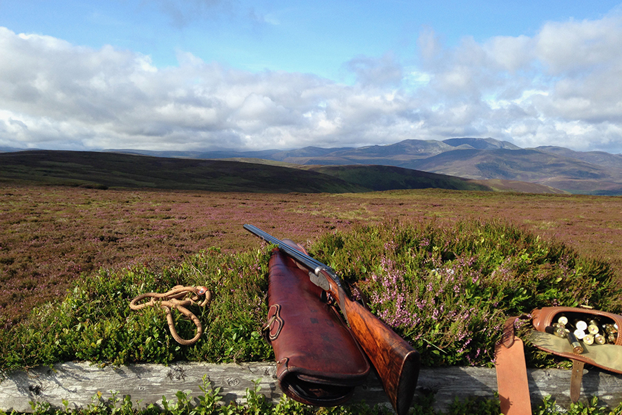 Shooting at Glenmuick Estate