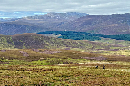 Shooting at Glenmuick Estate