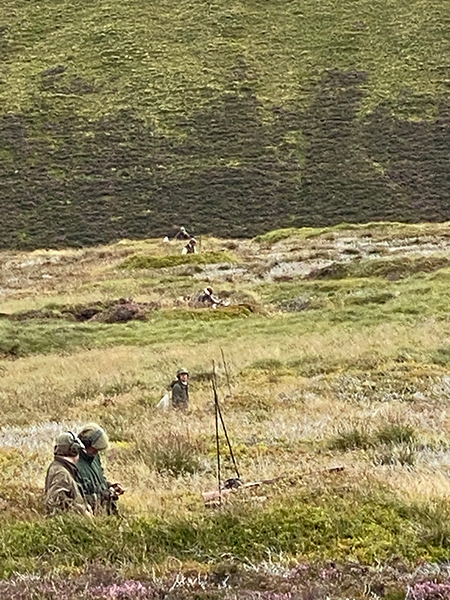 Shooting at Glenmuick Estate