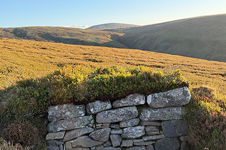 Shooting at Glenmuick Estate’