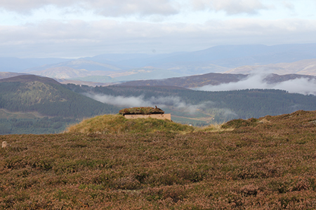 Shooting at Glenmuick Estate’