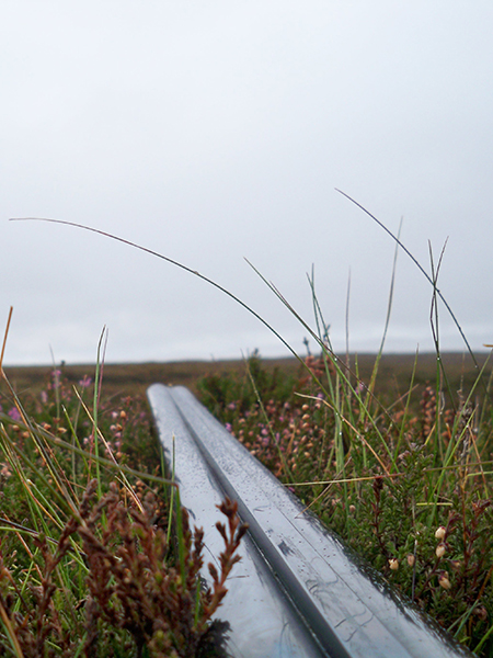 Shooting at Glenmuick Estate’