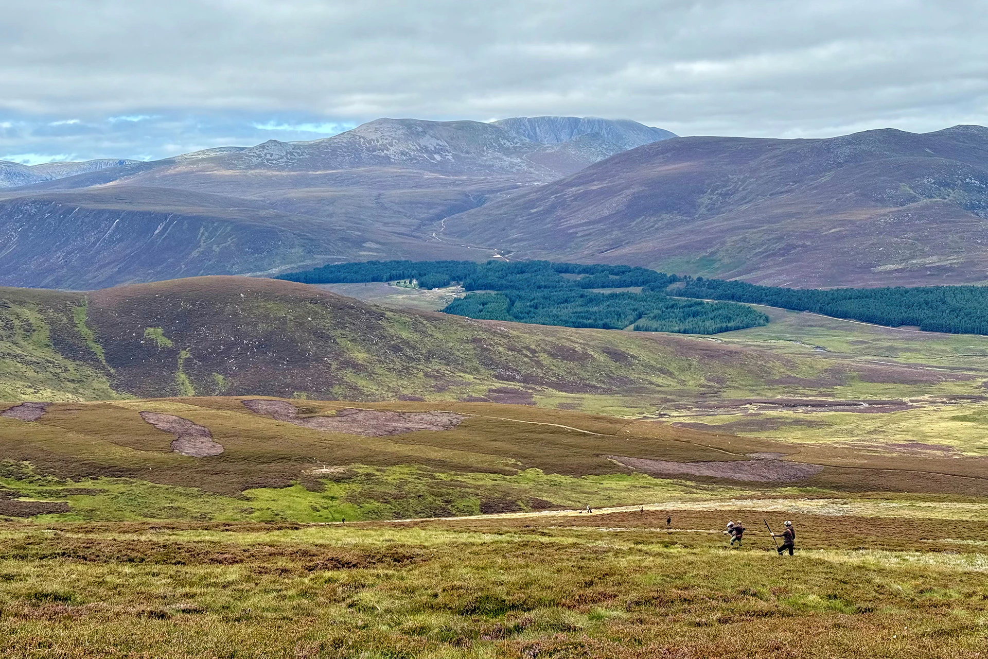 Asian Wedding Marquee In Derbyshire