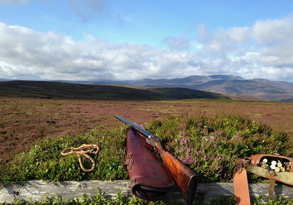 Shooting on Glenmuick Estate