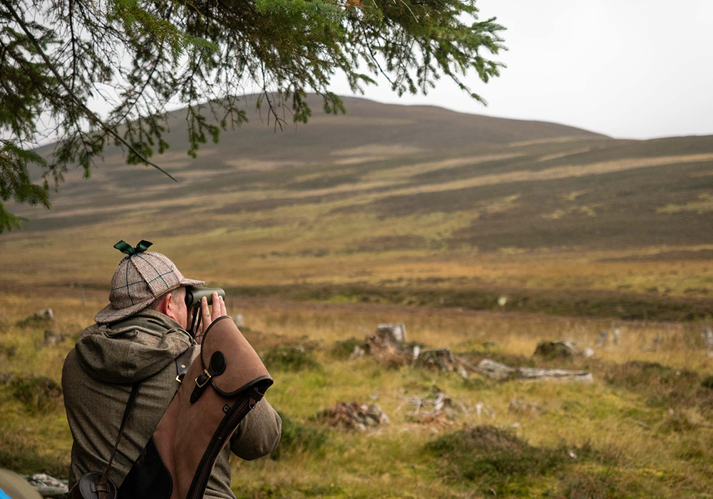 Stalking on Glenmuick Estate