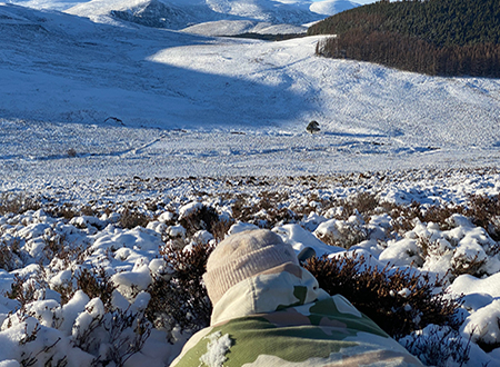 Stalking at Glenmuick Estate