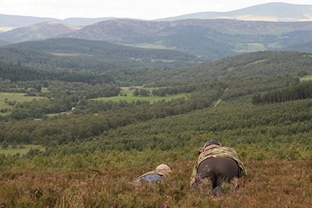 Stalking at Glenmuick Estate