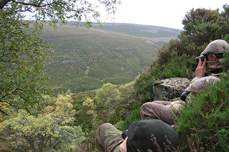 Stalking at Glenmuick Estate