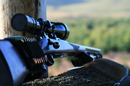 Stalking at Glenmuick Estate