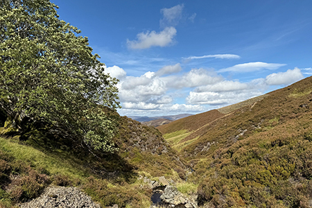 Stalking at Glenmuick Estate