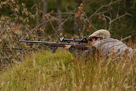 Stalking at Glenmuick Estate