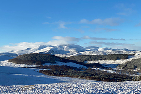 Stalking at Glenmuick Estate