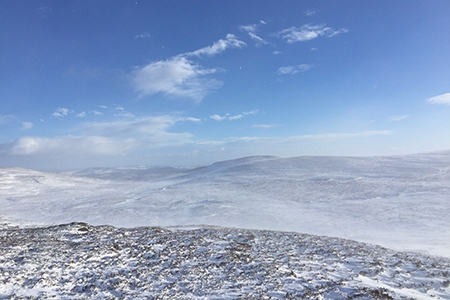 Stalking at Glenmuick Estate