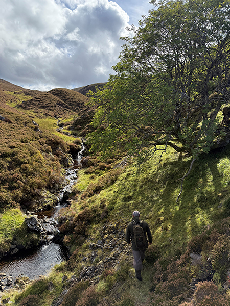 Stalking at Glenmuick Estate
