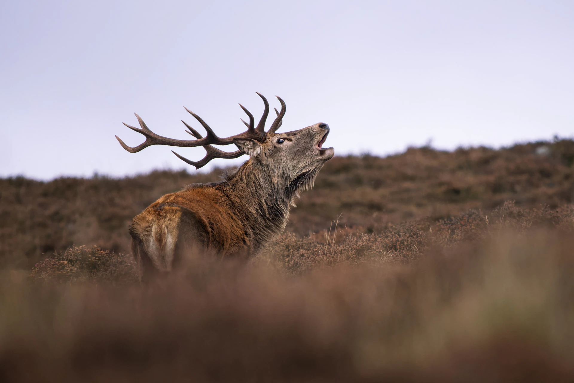 Derbyshire Asian Wedding Venue